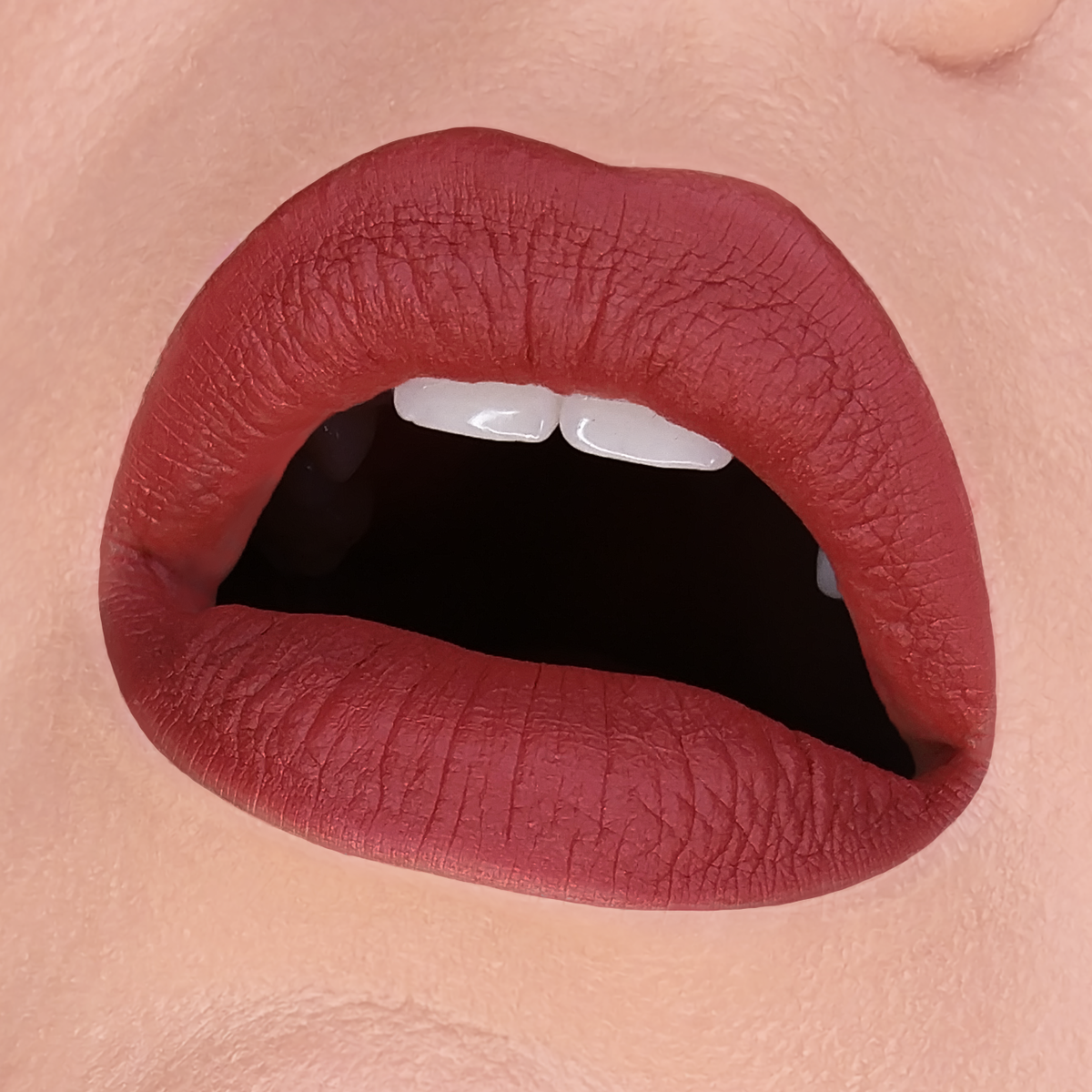 HOLLOWED LIP MUD - HB 448