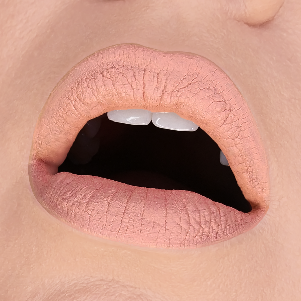 HOLLOWED LIP MUD - HB 593