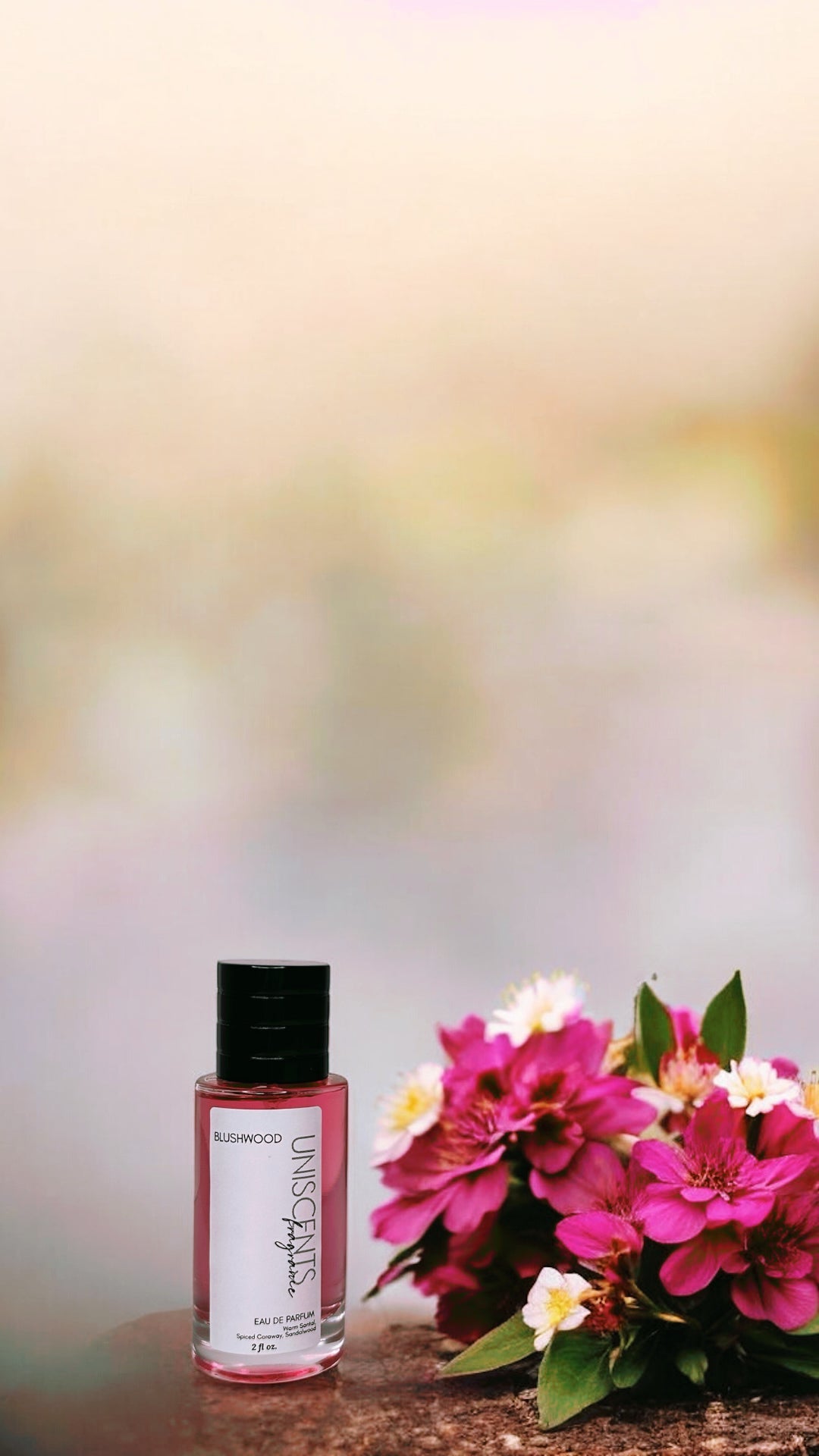 BLUSHWOOD |  Limited Release