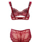 Ruby Red Stretch Lace Underwire Bra