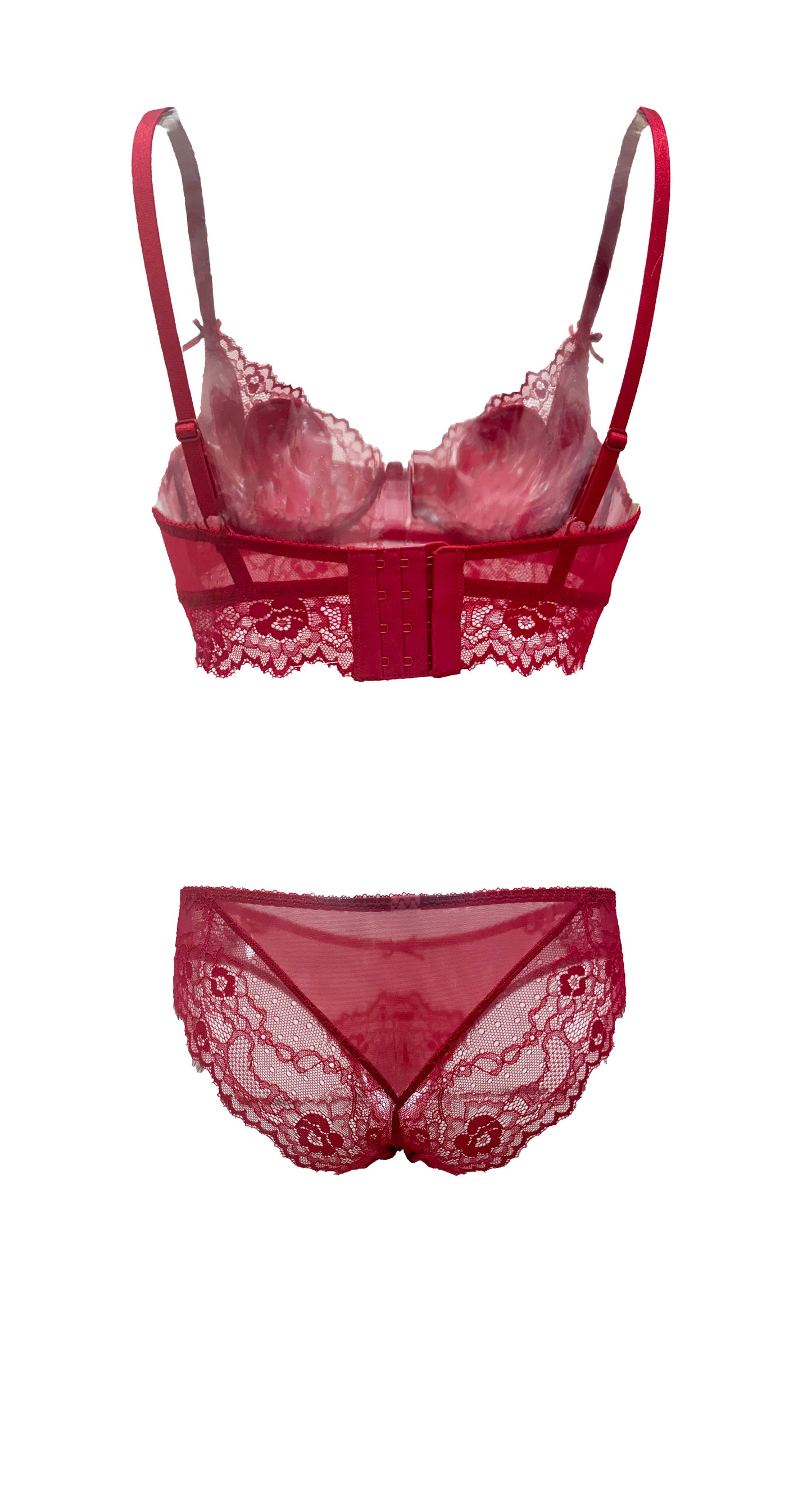 Ruby Nocturne Lace and Mesh Bikini Panty