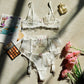 Moonlit Lace Embroidered 3 Piece Lingerie Set