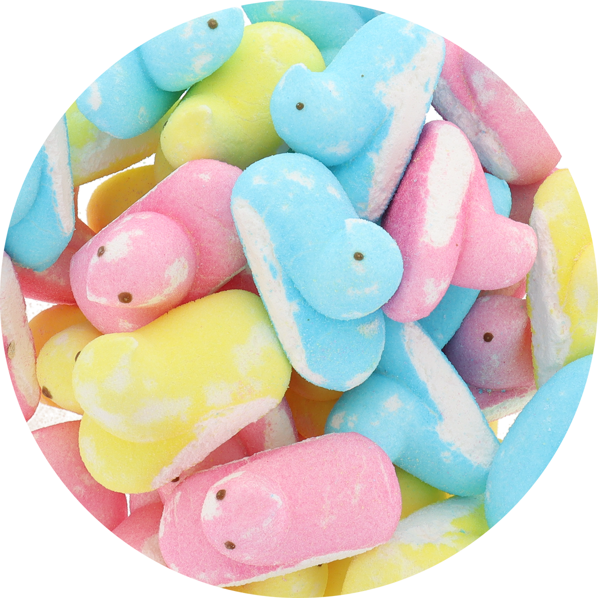 Freeze Dried Marshmallow Chicks