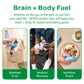 Plant Powered Variety Pack