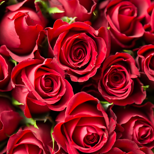“Red Roses” Perfume