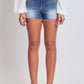 Women's Heavy Stitch Embroidered Frayed Shorts