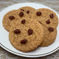 OATMEAL RAISIN COOKIES Wax Melts | Wax Embeds for Candles | Fake Food
