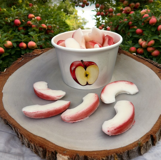 APPLE SLICES Wax Melts | Fake Food | Apple & Cinnamon Scented | 4 oz