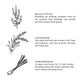 Linen Spray - Shangri-La - Eucalyptus + Lavender + Lemongrass