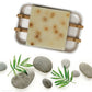 Bamboo Grapefruit | Organic Shea Butter Soap