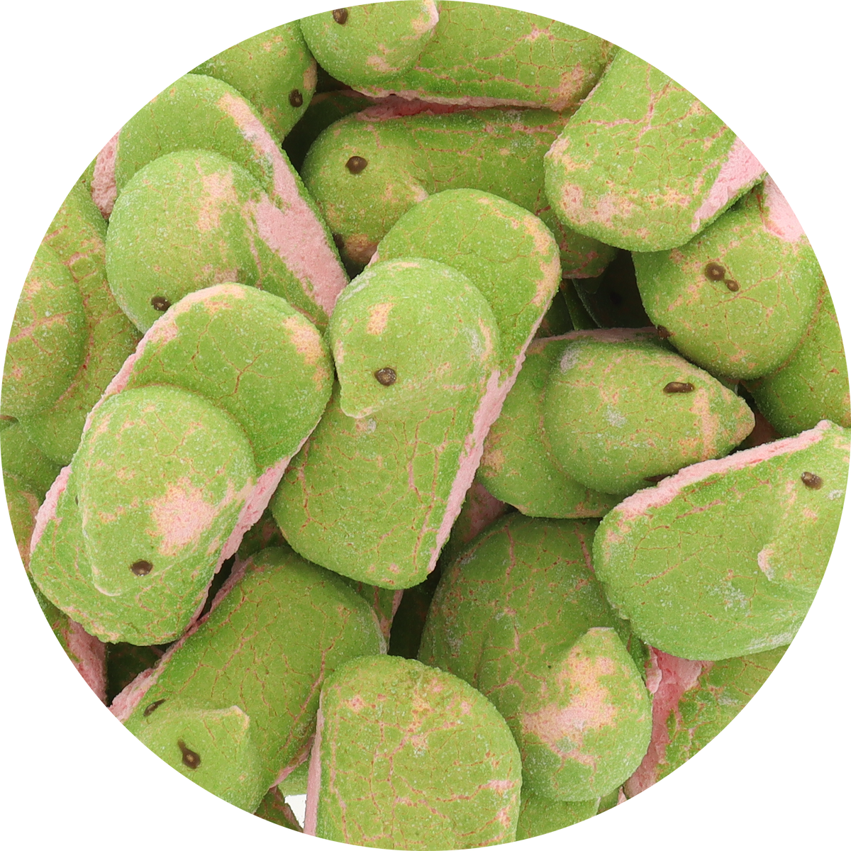 Freeze Dried Marshmallow Chicks