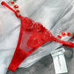 Red Embroidered Sexy Push Up Lingerie Set