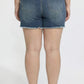 Premium Stretch Fray Hem Shorts