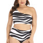 Zebra Print Two Piece Swimsuit