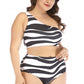 Zebra Print Two Piece Swimsuit