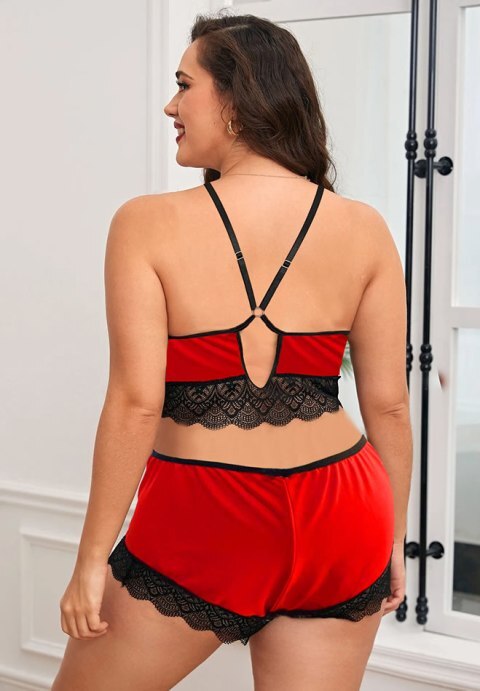 a Touch Of New Bra Set