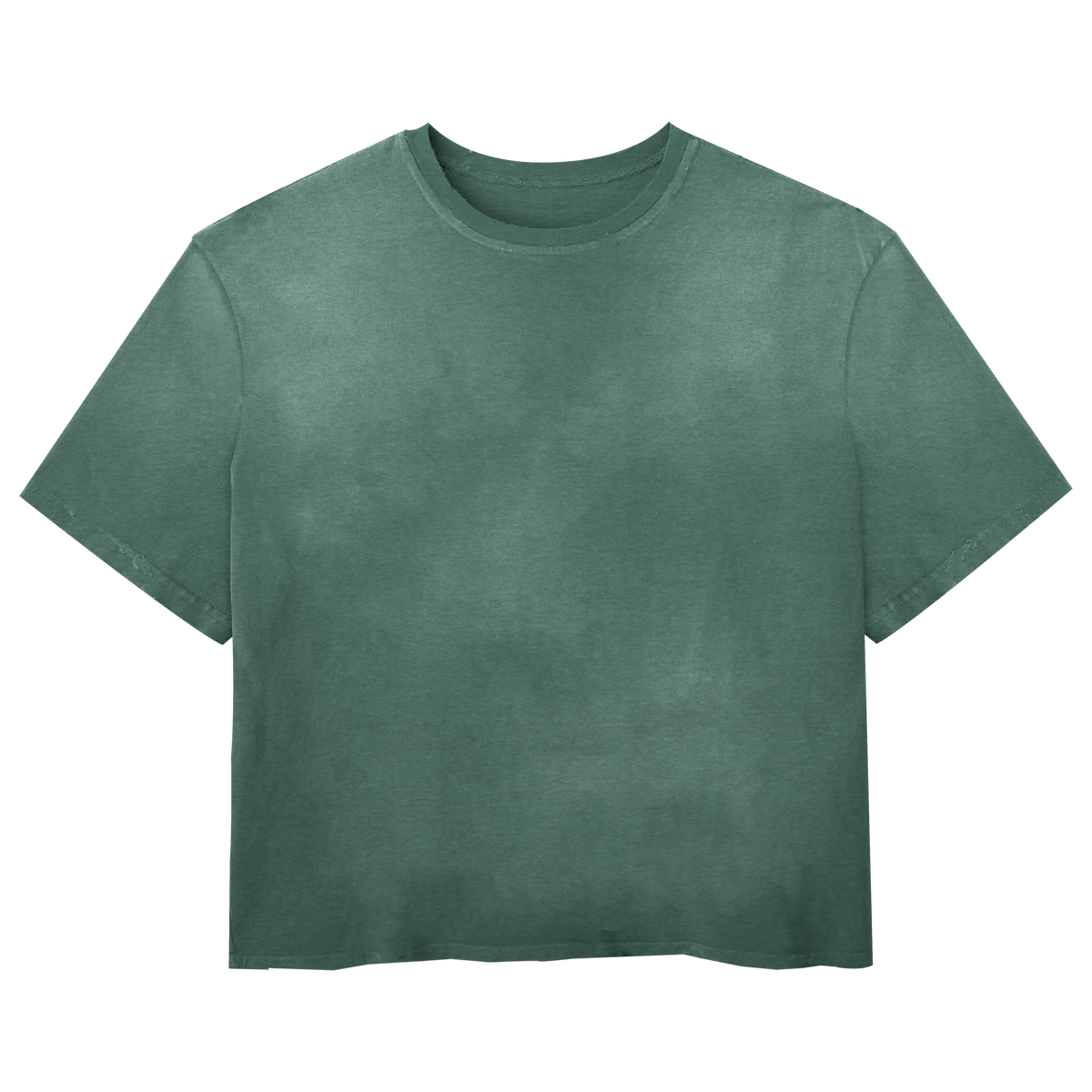 Blank Wash Tee