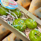 Wax Melts | Key Lime Donut