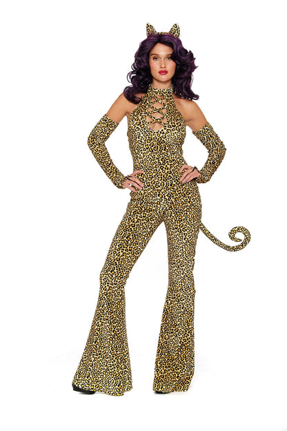 Here Kitty Kitty!