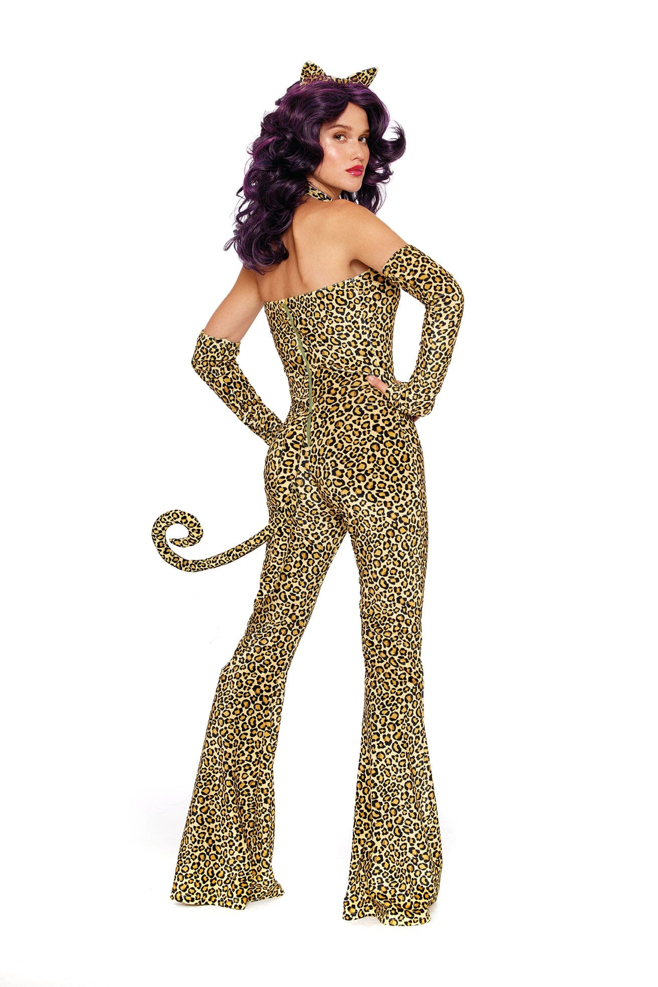 Here Kitty Kitty!