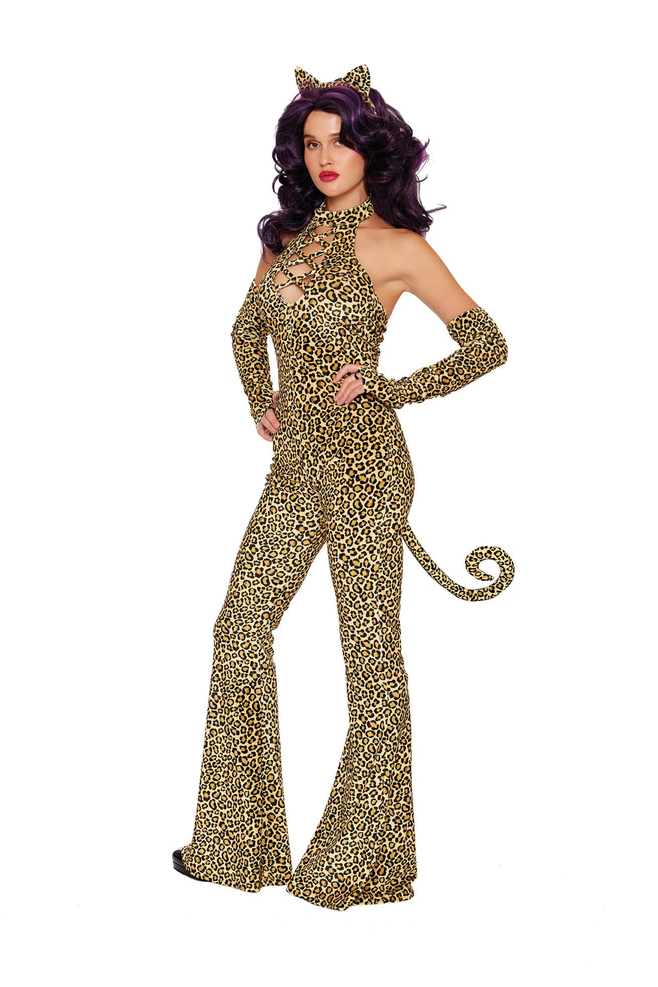 Here Kitty Kitty!