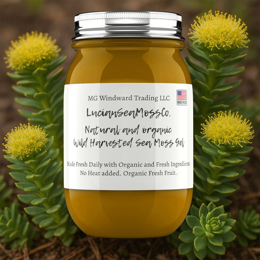 Rhodiola Infused Organic Sea Moss Gel