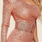 Rose Gold Sequin One Shoulder Maxi Dress