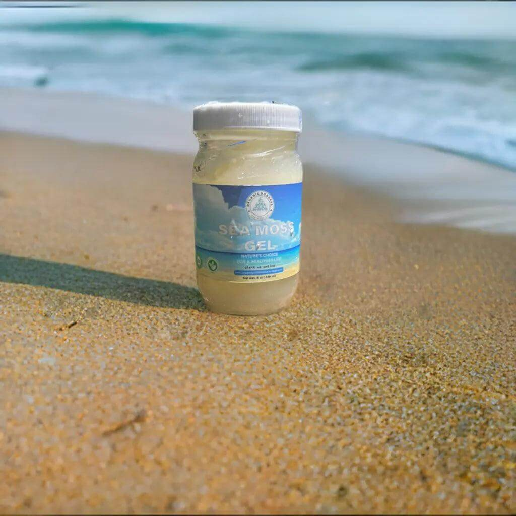 Gold Sea Moss | Sea Moss Benefits | Sea Moss Near Me - Organic Goddess Sea Moss Gel