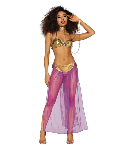 Harem Hottie Roleplay Set