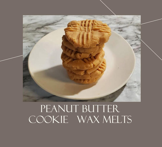 Realistic PEANUT BUTTER COOKIES Wax Melts | Wax Embeds for Candles | Fake Food