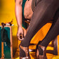 Autumn: Chocolate Opaque Thigh-Highs