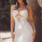 Jacklyn Lace Cutout Detail Bodycon Mini Dress