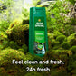 Irish Spring Body Wash For Men, Original