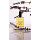 Lumière Body Glow Oil Lavande