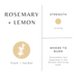 Rosemary + Lemon - Signature Candle