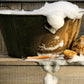 Sample Soap Pack of Organic Handmade Soap