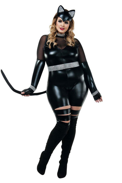 Cat Burglar